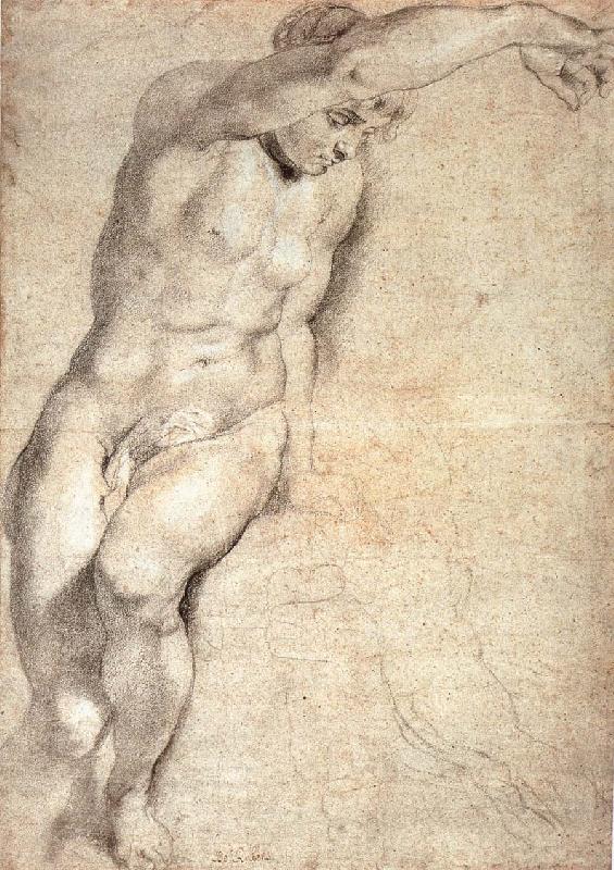 Peter Paul Rubens Portrait of naked woman